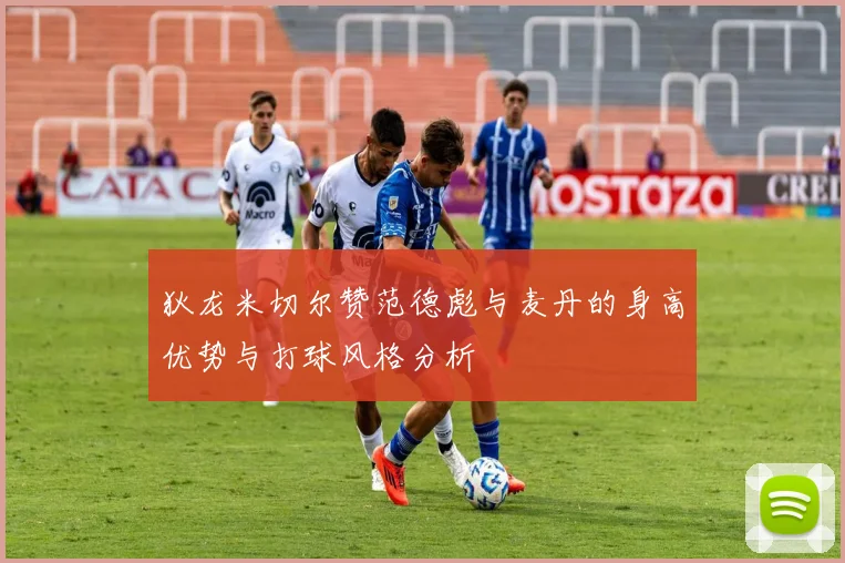 狄龙米切尔赞范德彪与麦丹的身高优势与打球风格分析