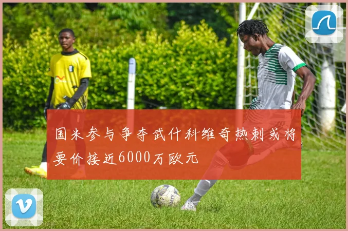 国米参与争夺武什科维奇热刺或将要价接近6000万欧元